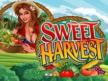 Игровой автомат Sweet Harvest